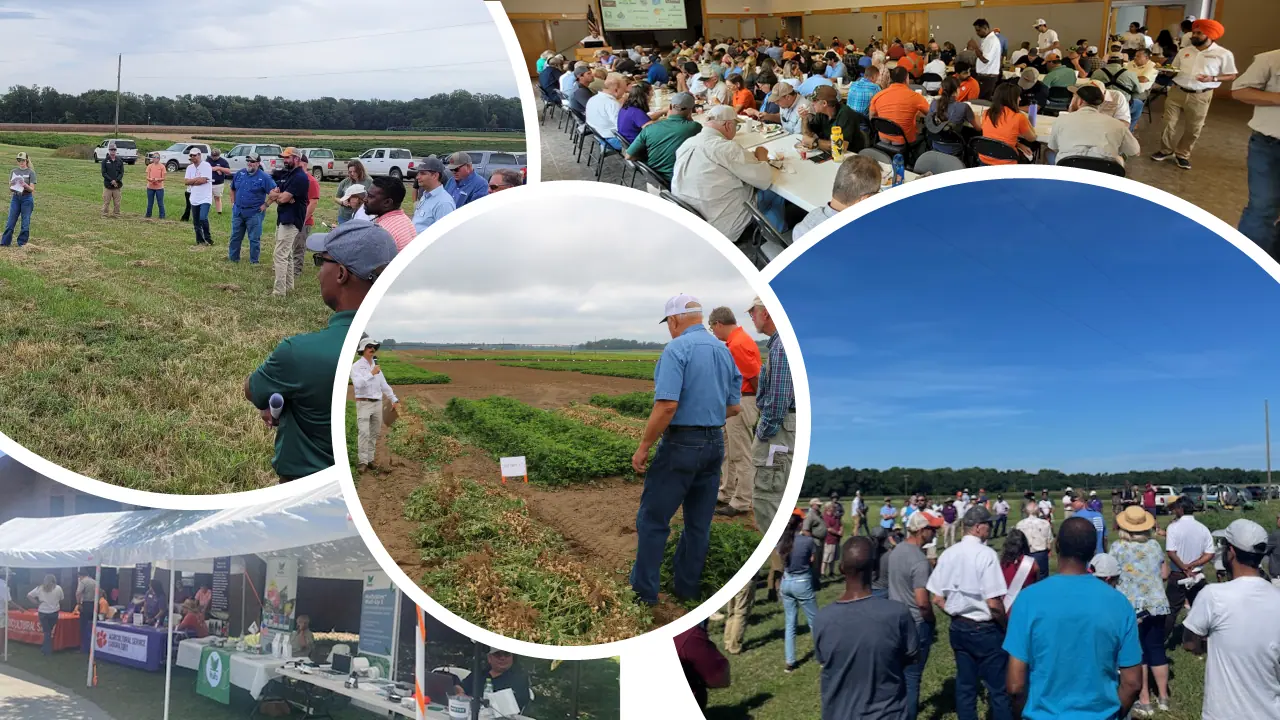 Photo collage from a previous Peanut, Cotton, Vegetable and Fruit Field Day.